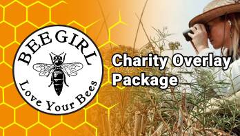 The Bee Girl Organization Charity Package